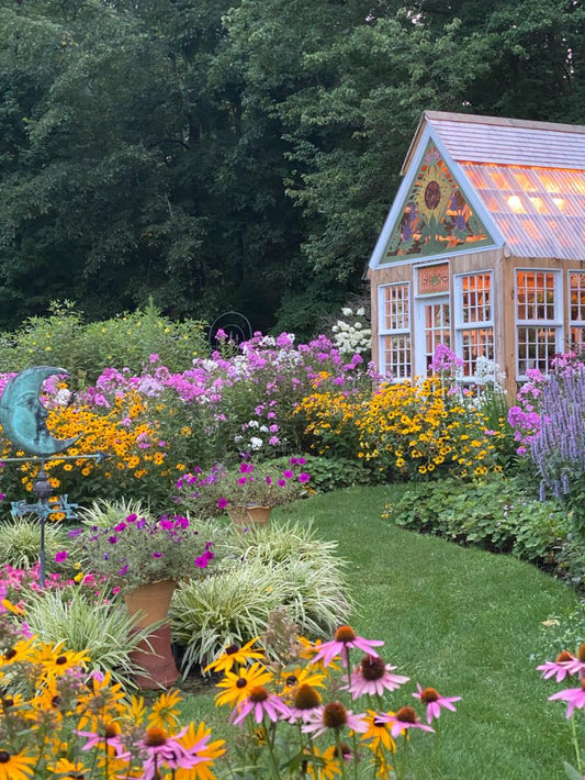 Top 10 Low-Maintenance Summer Plants for Your Garden