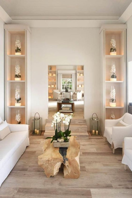 Harmonizing Your Home: The Influence of Plants on Feng Shui