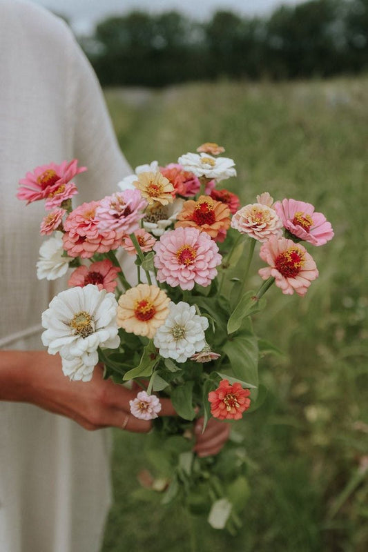 Exploring the Benefits and Positive Properties of Different Floral Varieties