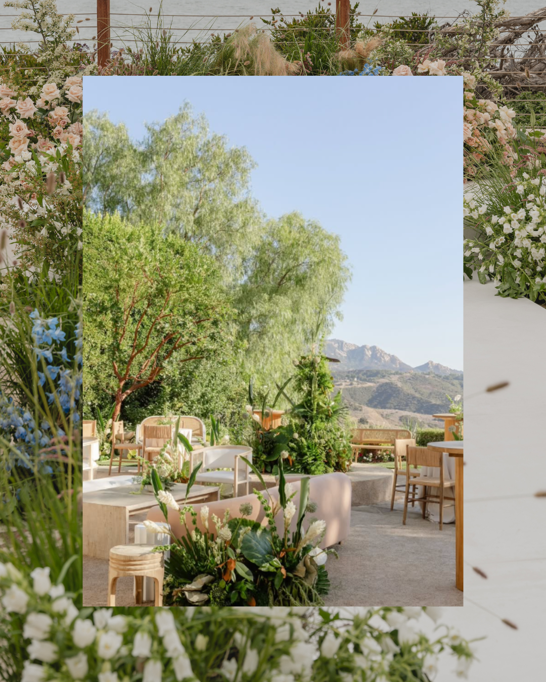 200 Guests Package