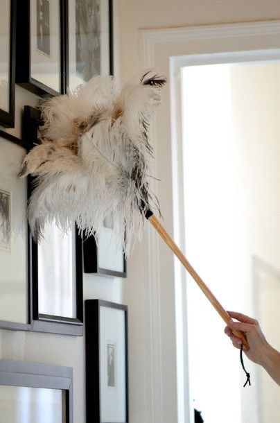 Spring Cleaning Bliss: Revitalize Your Home with Air-Purifying Plants