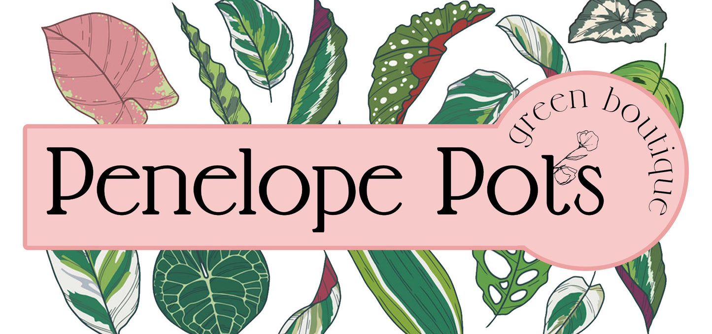 Penelope Pots E-Gift Card